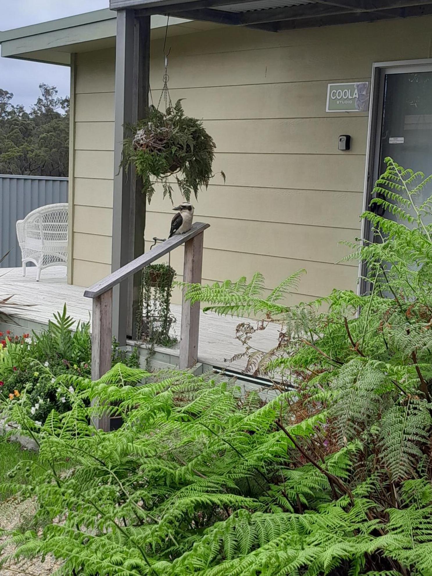 Coola Studio Mallacoota Exterior photo
